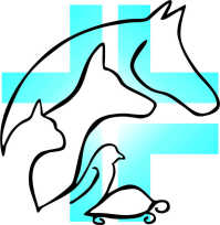 CLINICA VETERINARIA "DEGLI ANGELI"